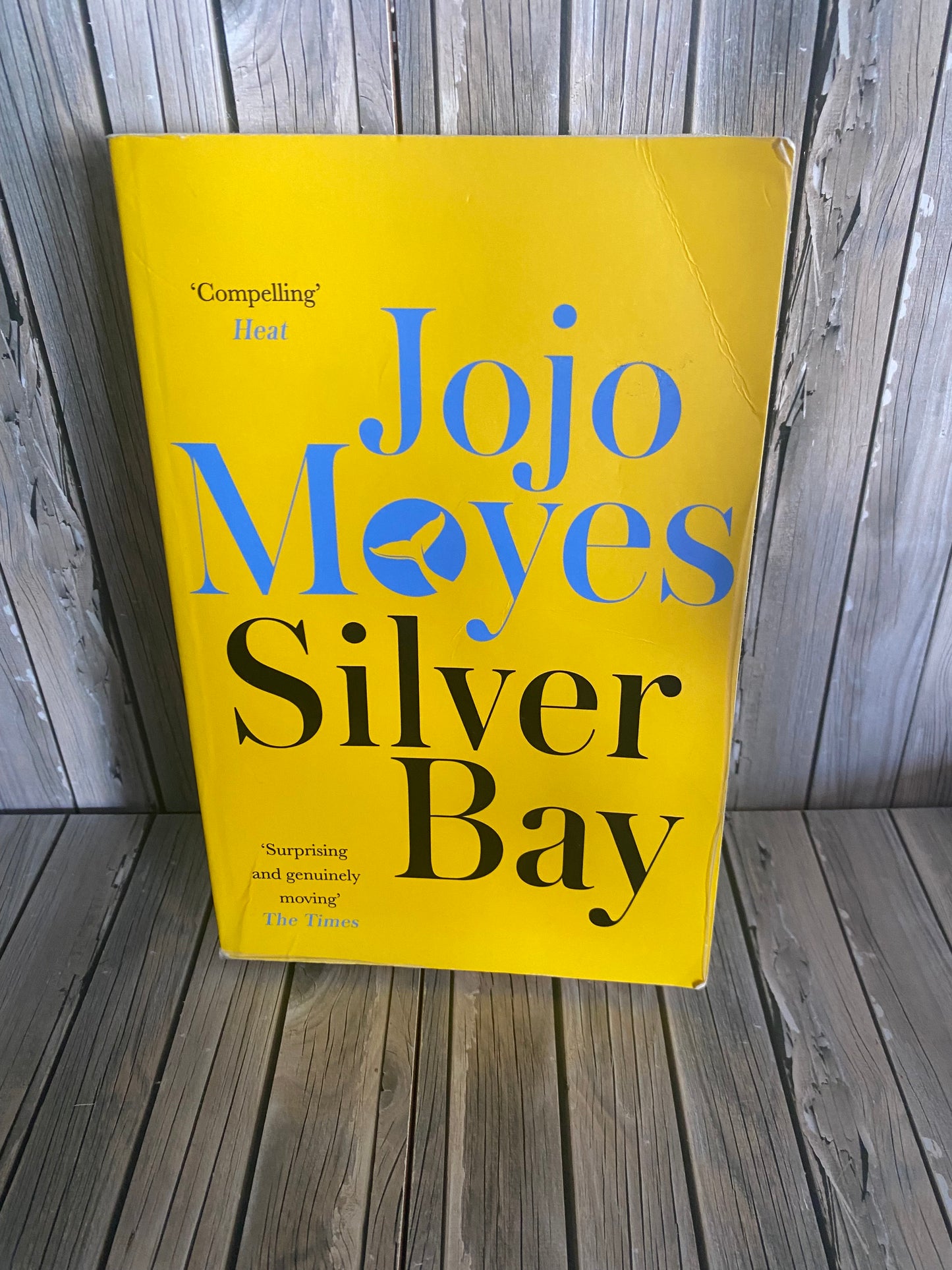 Silver Bay - Jojo Moyes