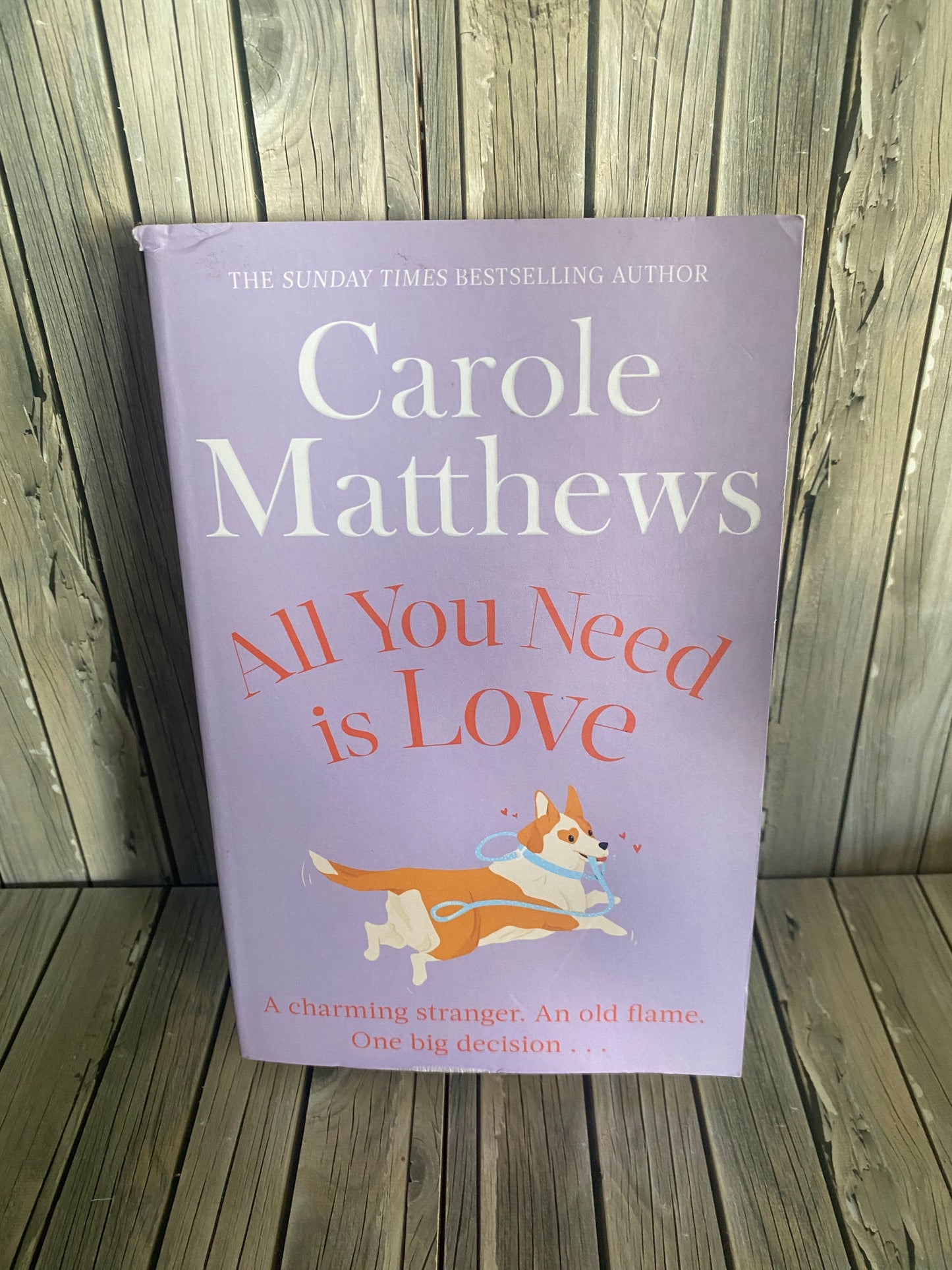 All You Need is Love - Carole Matthews