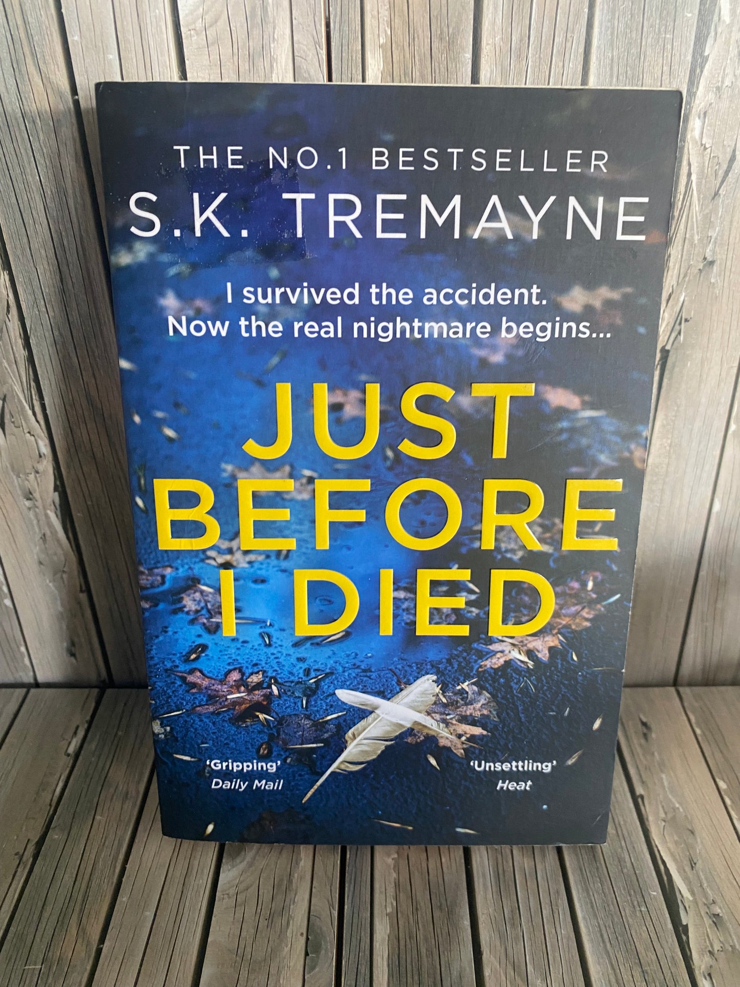 Just Before I Died - S.K. Tremayne