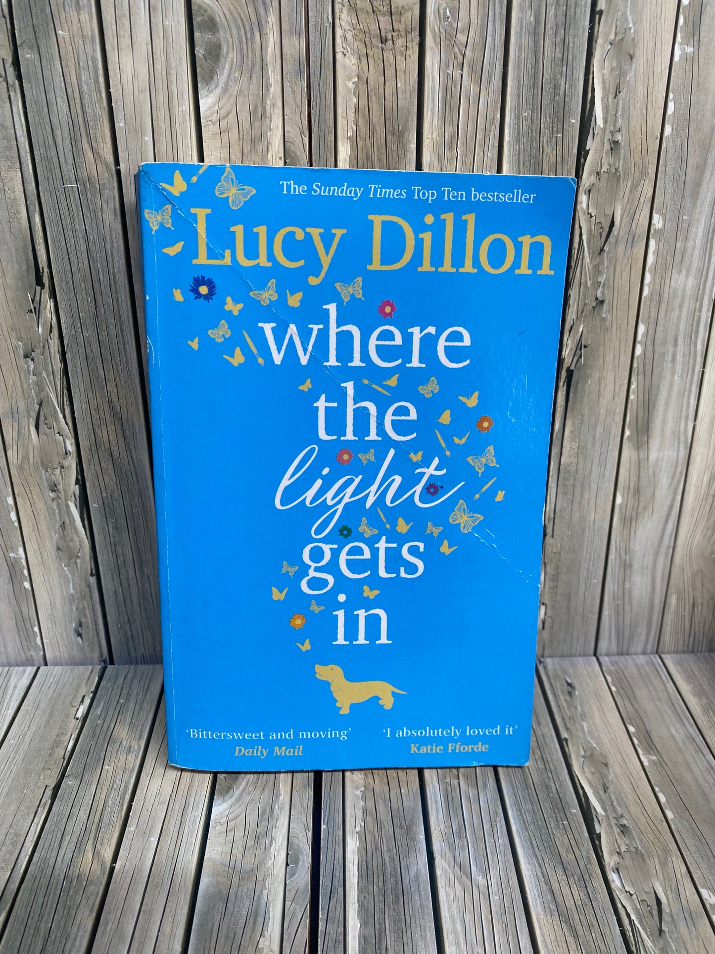 Where the Light Gets In - Lucy Dillon