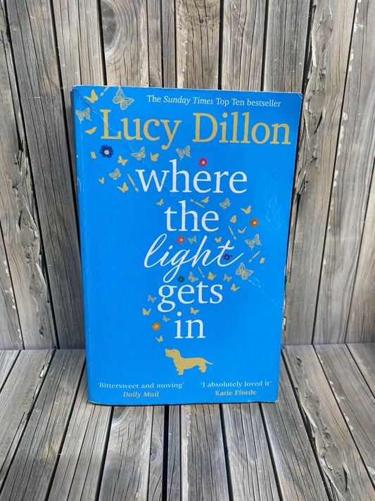 Where the Light Gets In - Lucy Dillon