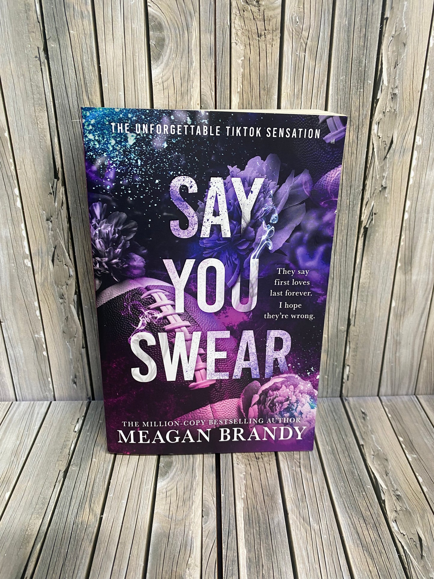 Say You Swear - Meagan Brandy