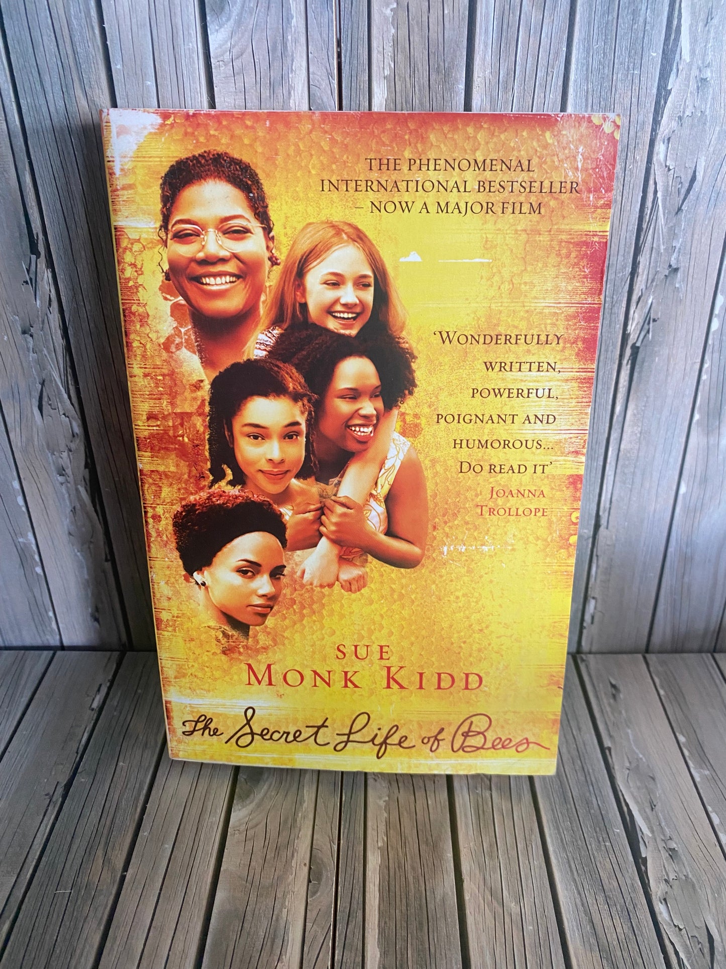 The Secret Life of Bees - Sue Monk Kidd