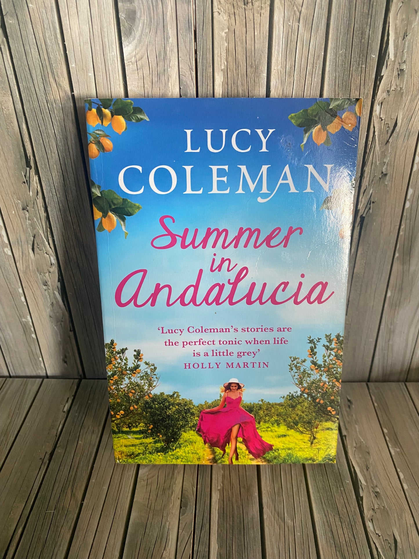 Summer in Andalucía - Lucy Coleman