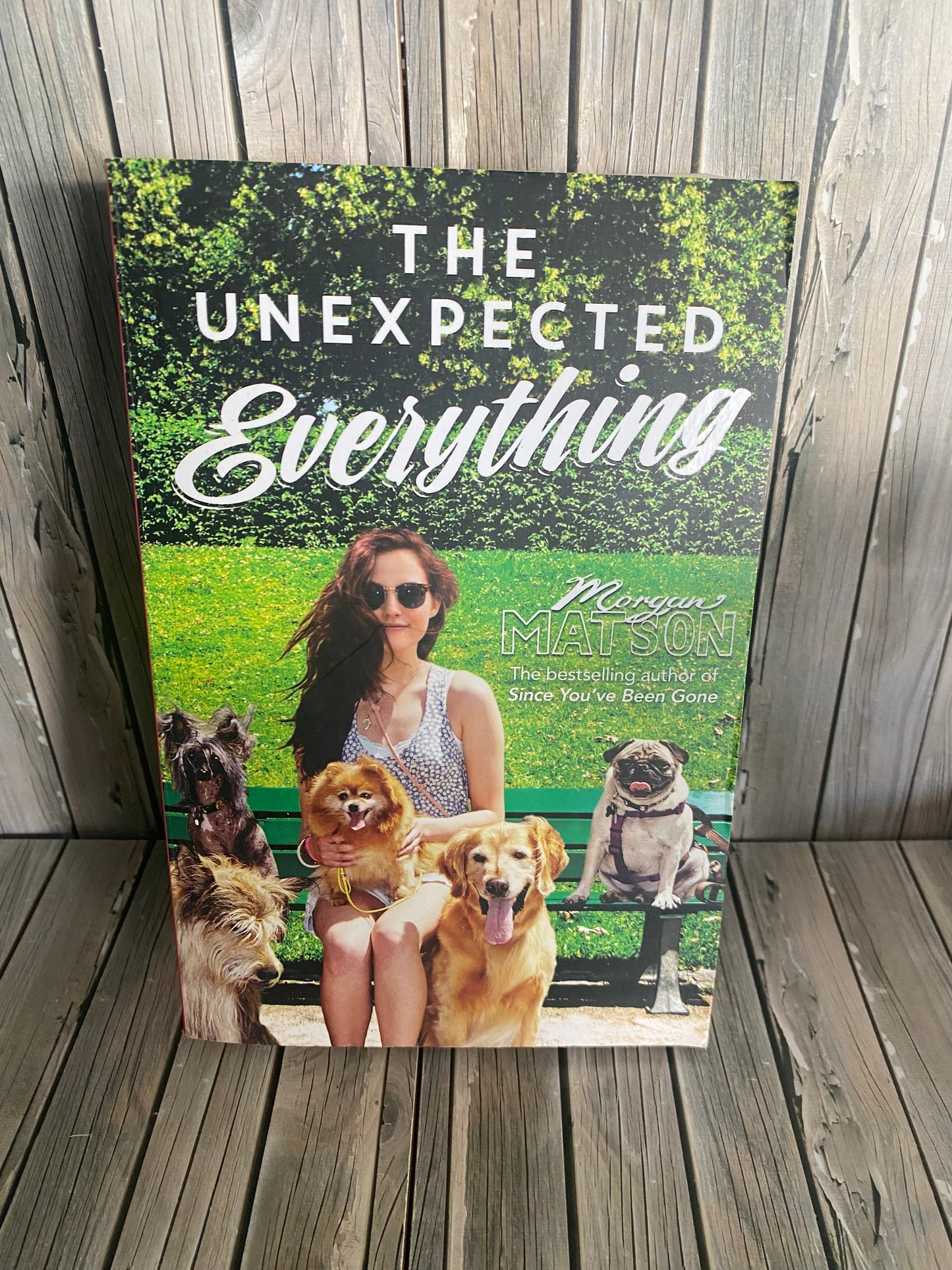 The Unexpected Everything - Morgan Matson