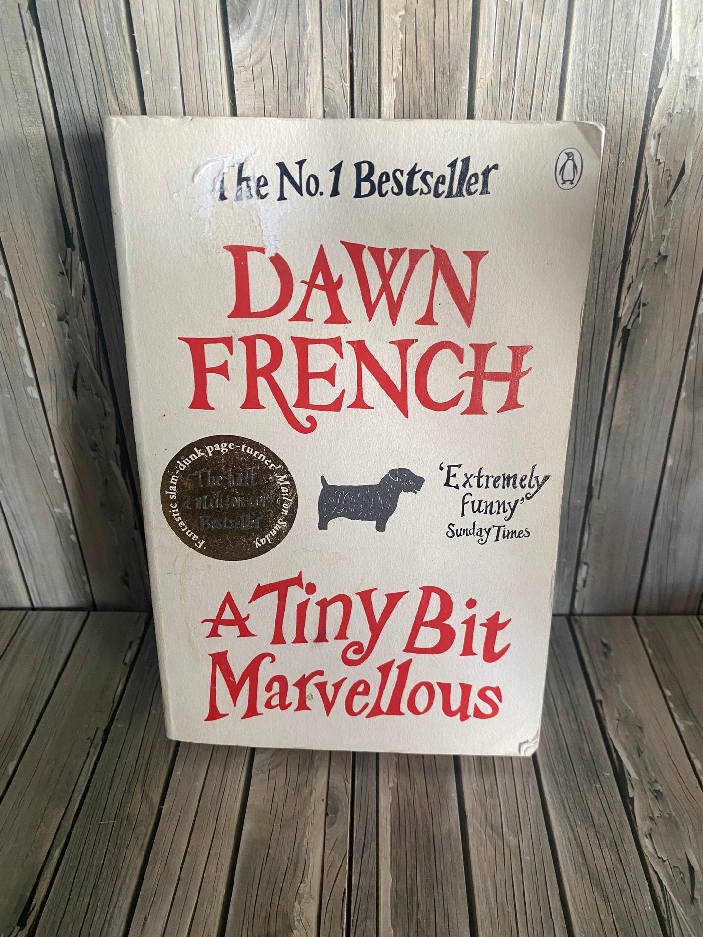 A Tiny Bit Marvellous - Dawn French