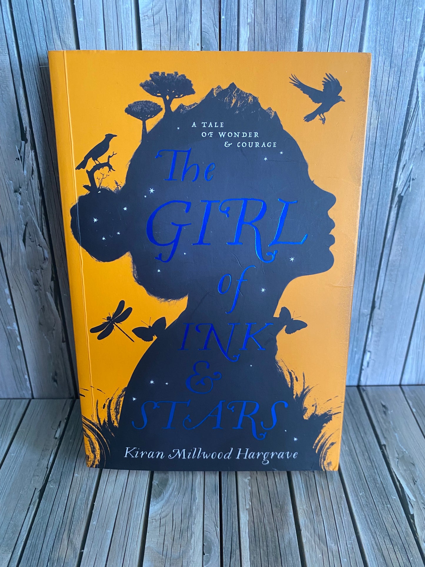 The Girl of Ink & Stars -  Kiran Millwood Hargrave